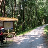 1808F 123 Donau-Regen Radweg